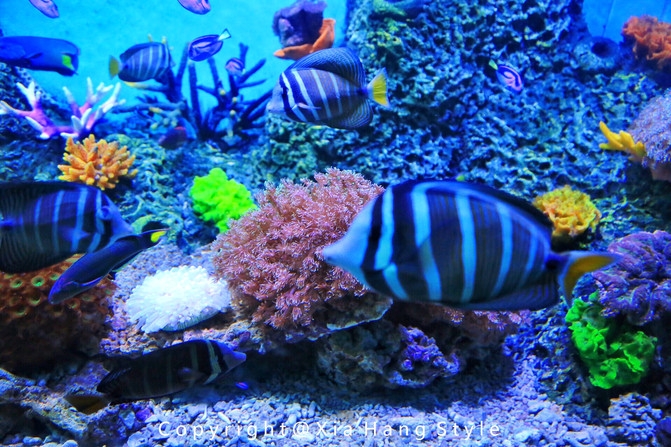 横店梦幻谷拍照景点,亲子游横店梦幻谷水世界