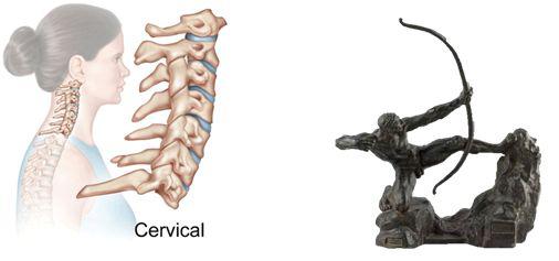 颈椎曲度康复案例,颈椎病康复科普文章图片