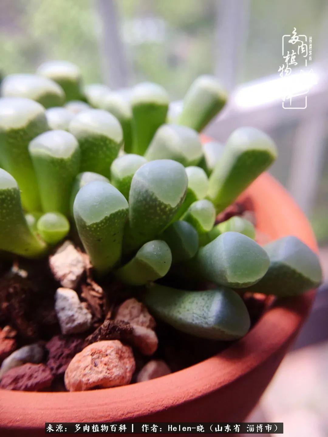 人到中年温暖如初,人到中年岁月静好