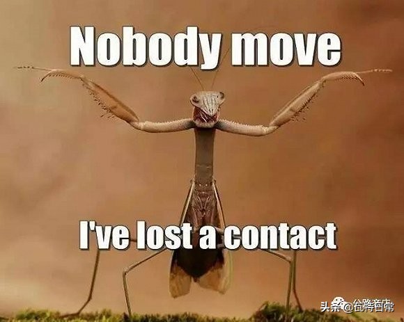 都别动！我掉了一只隐形眼镜