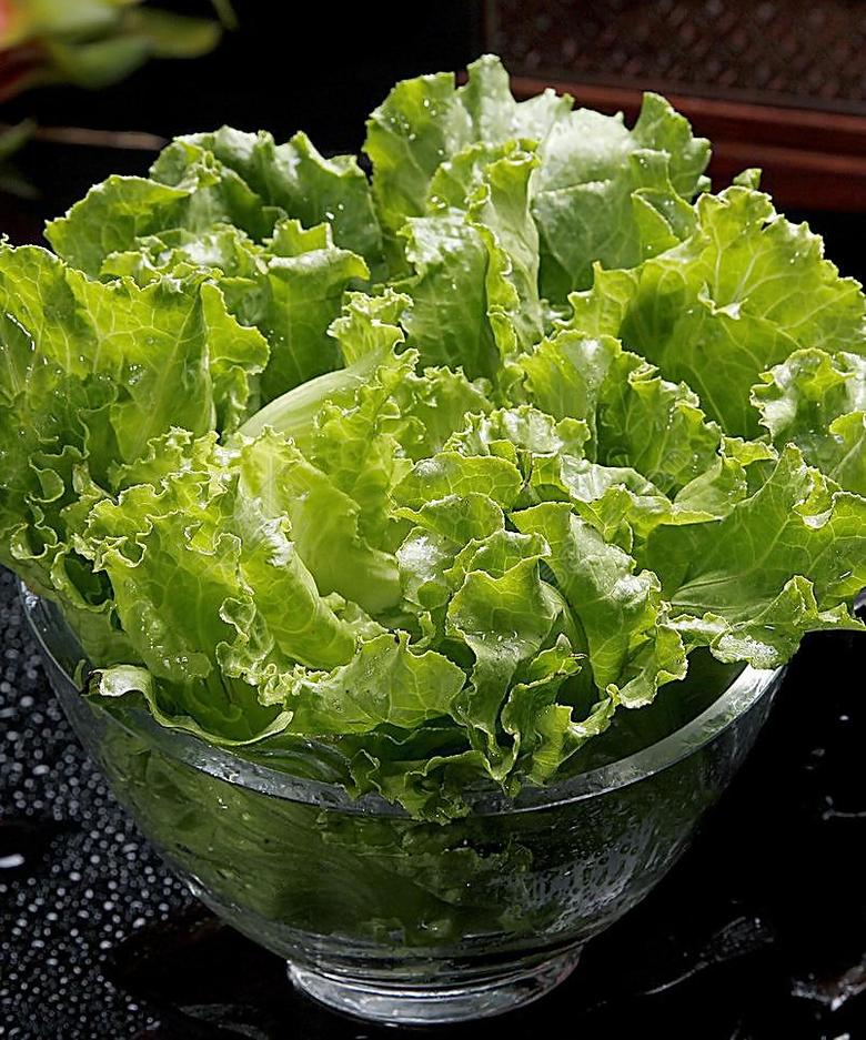 生菜的种植时间和种植方法,生菜的种植技巧和种植时间