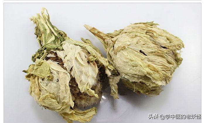 每日一中药茯苓,每日一药腊梅花