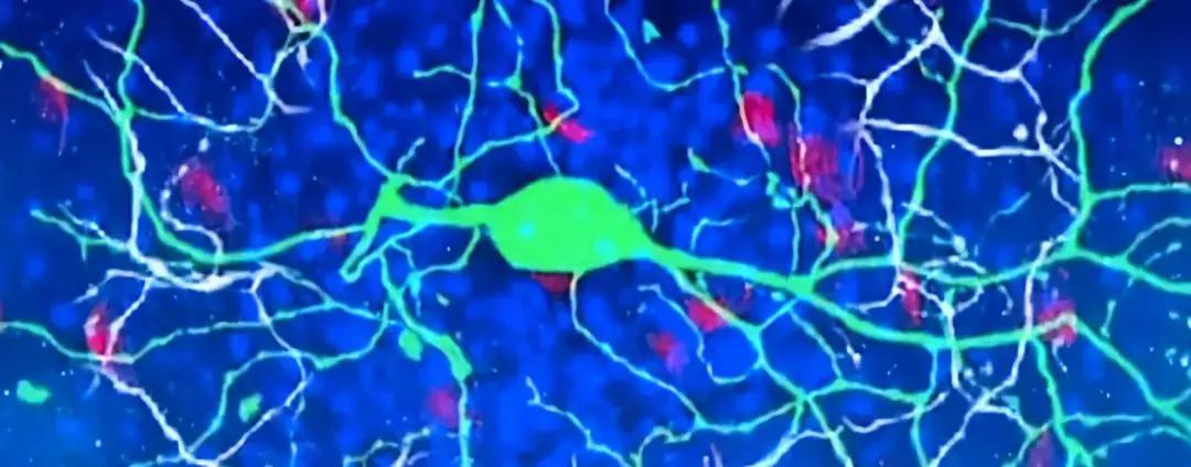 一针治百种病症 (一针治100种病症)