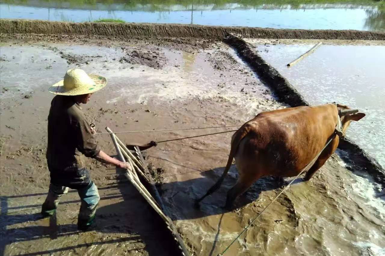 固始人怎么样啊,固始人哪里人最多