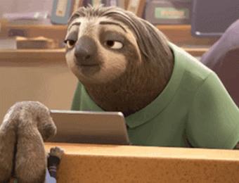 为什么海龟下潜心跳会变慢,海龟为什么能水下憋气10个小时