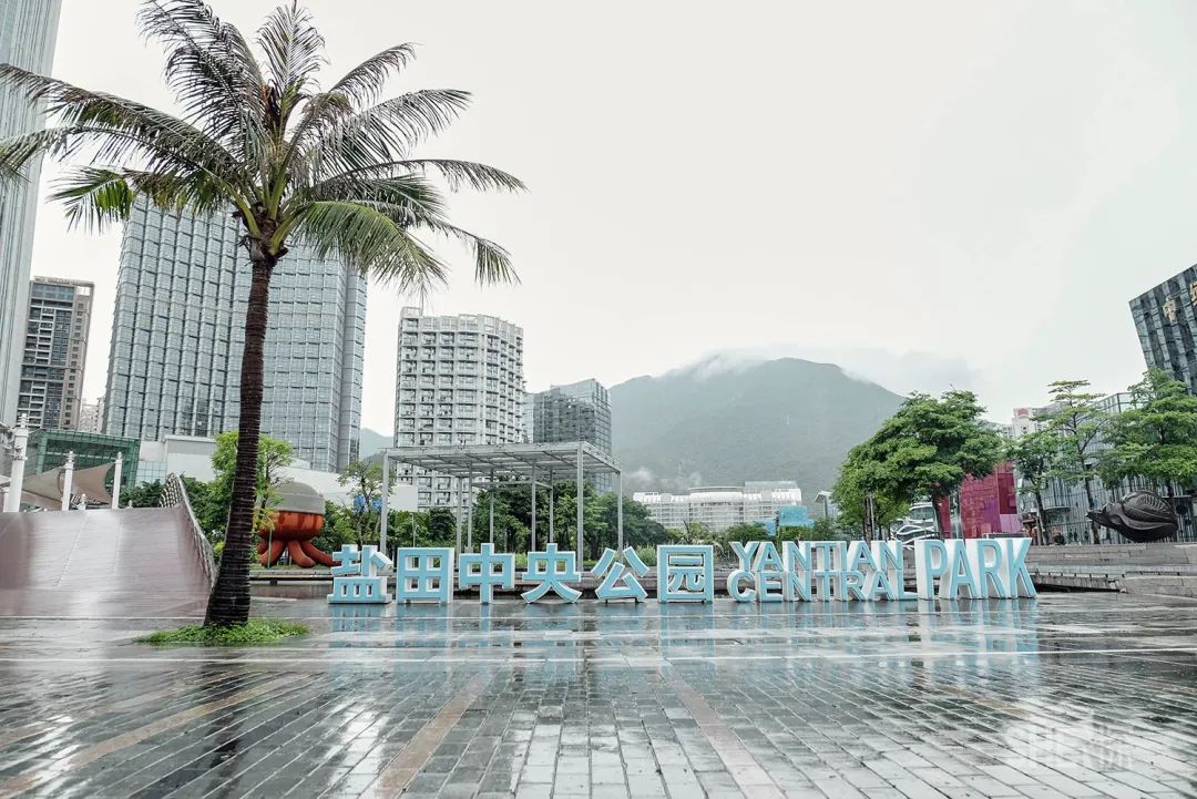 深圳购物商场排名,深圳最新商场开业