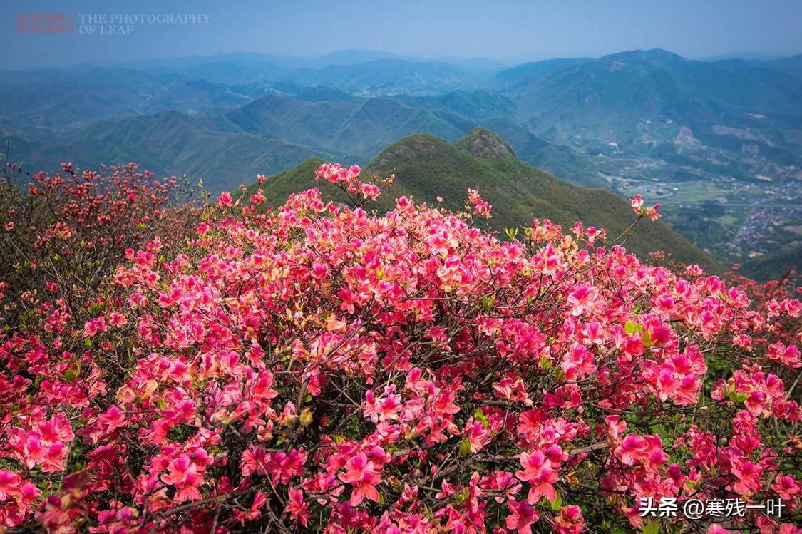 五一杭州旅游住宿最佳方案,五一旅游杭州出发3天最佳去处