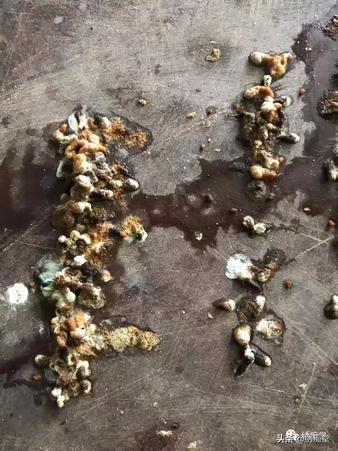 一品绣娘小说阅读,一品绣痴