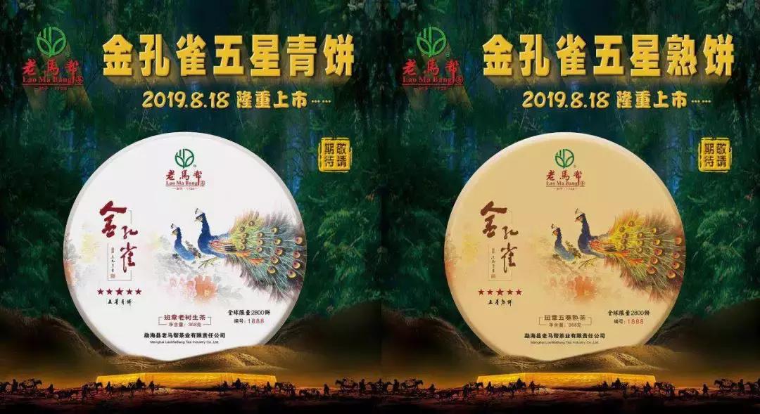 孔雀之美,顺势而赢老马帮即将推出的“金孔雀”有何创新之处?