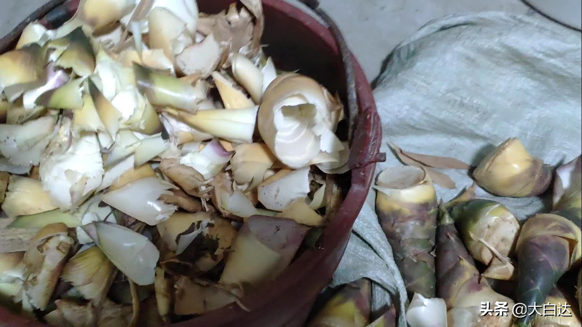 新鲜的小竹笋炒出来为什么是苦的,笋怎么做好吃没涩味