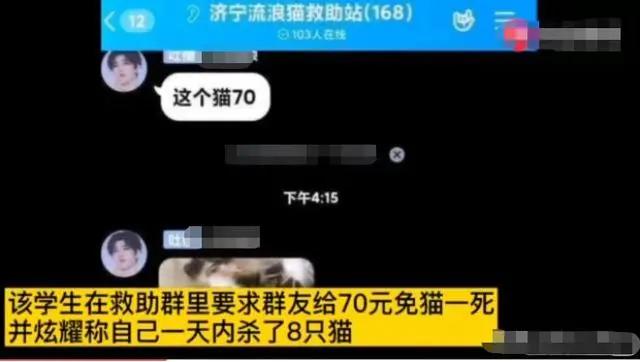 在宿舍养猫很后悔,为什么不能在宿舍养猫