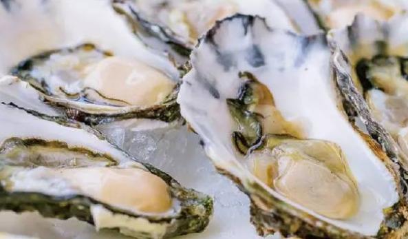 游四方完整版,游四方的视频