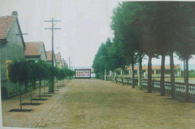 我那不堪回首的青春全文在线阅读,回顾一下我的高中生活