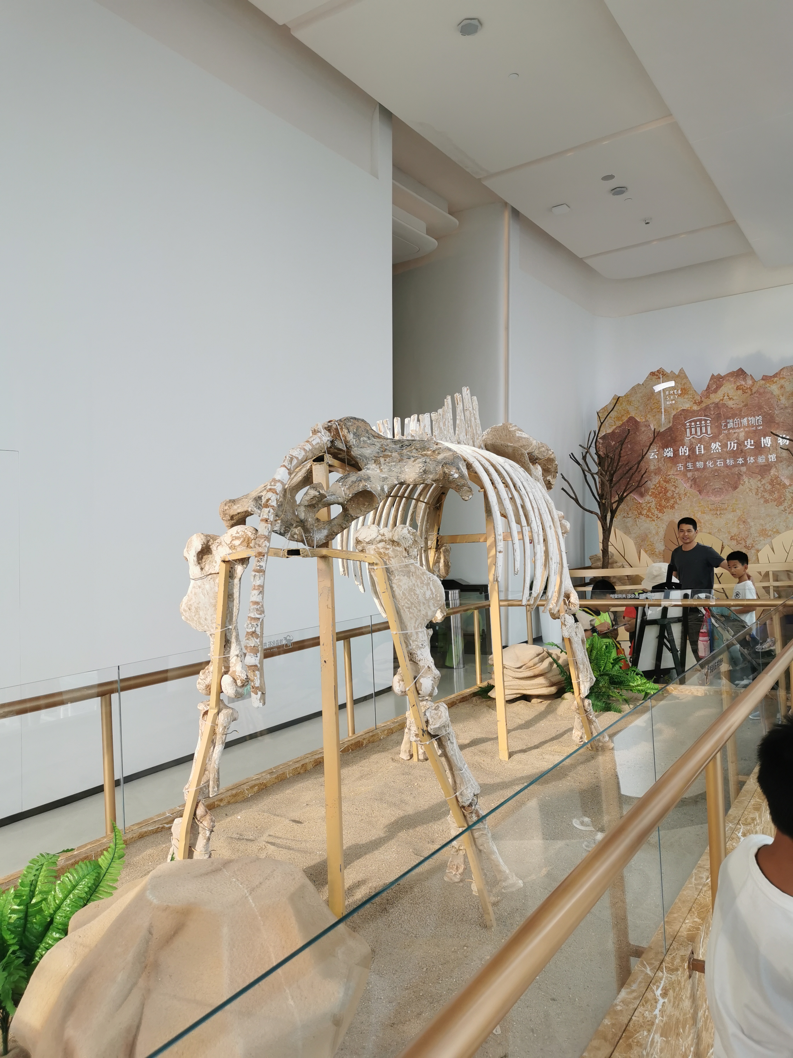 深圳第一高楼平安金融中心,深圳第一高楼平安观光