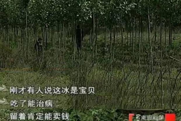 走近科学为什么停播了,走近科学为啥停播了