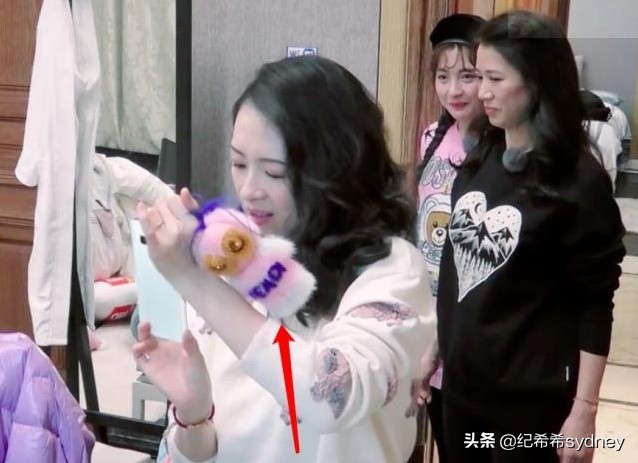 妻子2包文婧袁咏仪,妻旅章子怡汪峰