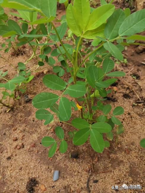 在非洲工作生活是怎样一种体验？点亮尼日利亚