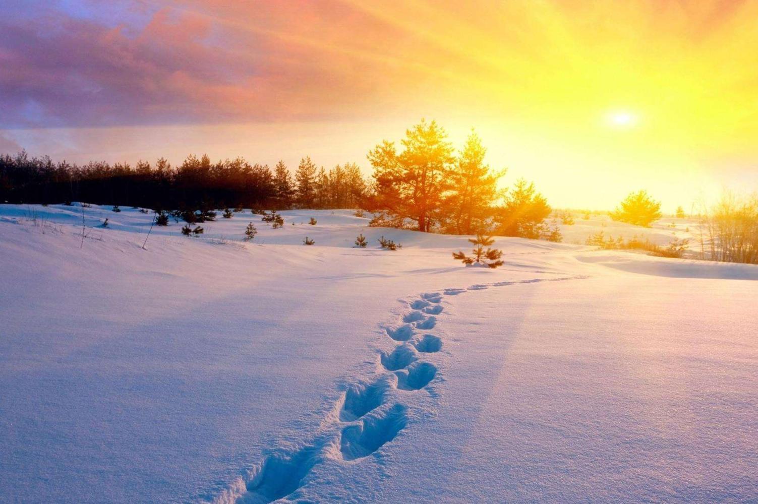 冷知识声音朗读,冷知识大全音频