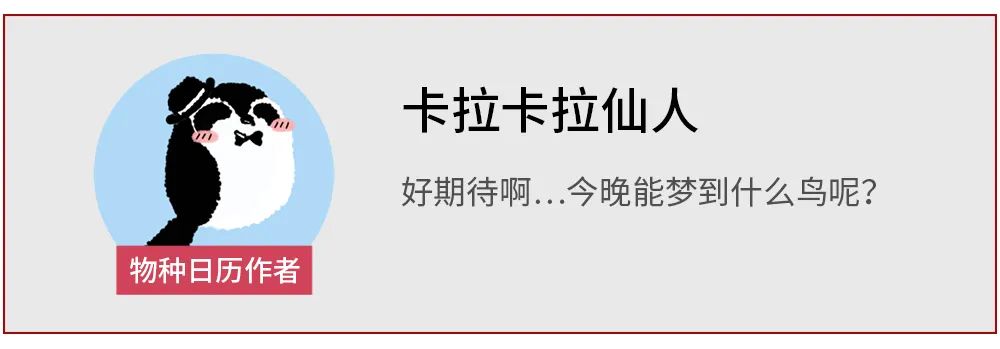 肛拭子有危害吗,肛拭子的好处