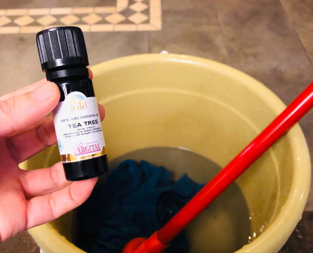 解锁精油|茶树精油的N种用法