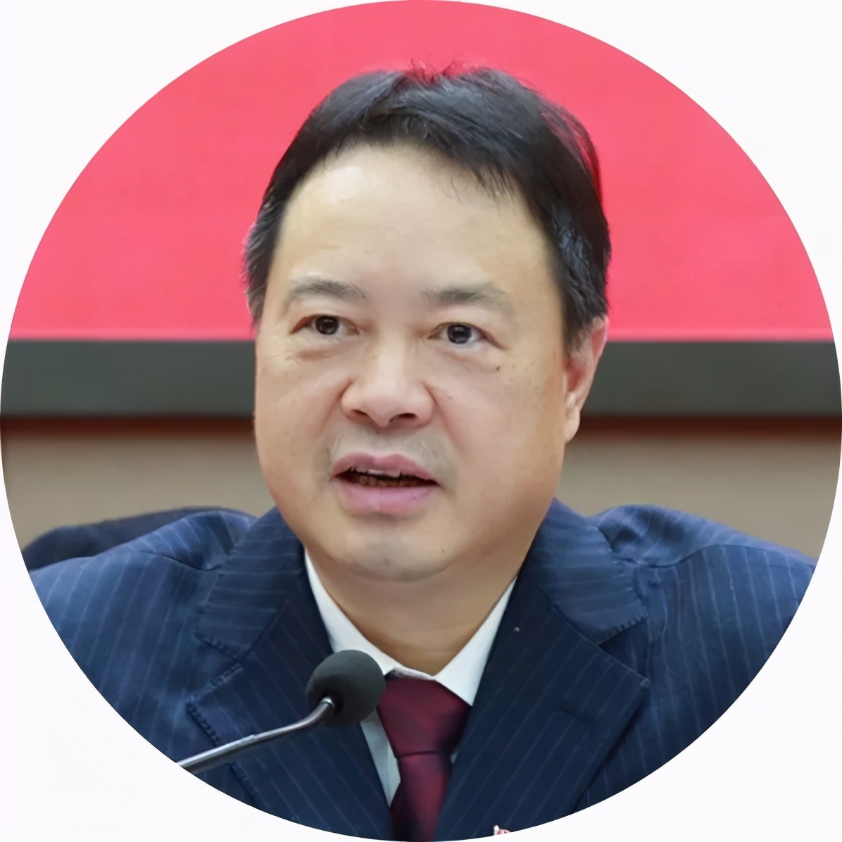 最新赣州市各县书记,赣州区县书记一周工作