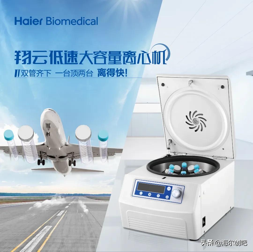 趣味科普食物实验室,趣味实验科普项目