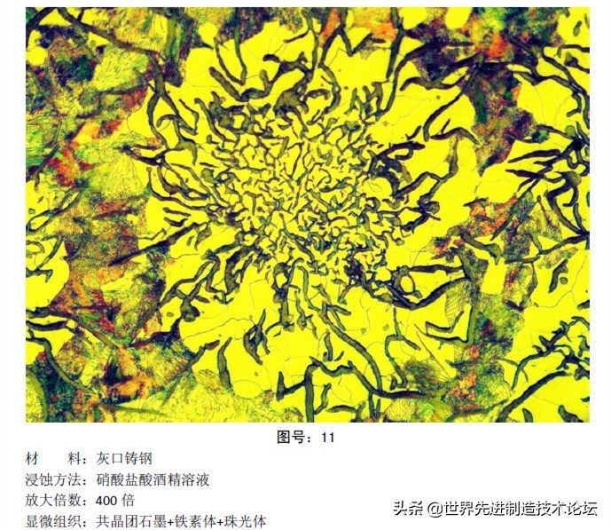 奥氏体珠光体,马氏体奥氏体珠光体