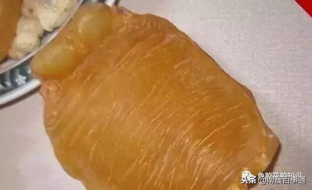 涨知识!鱼胶种类大全,不看亏大了!