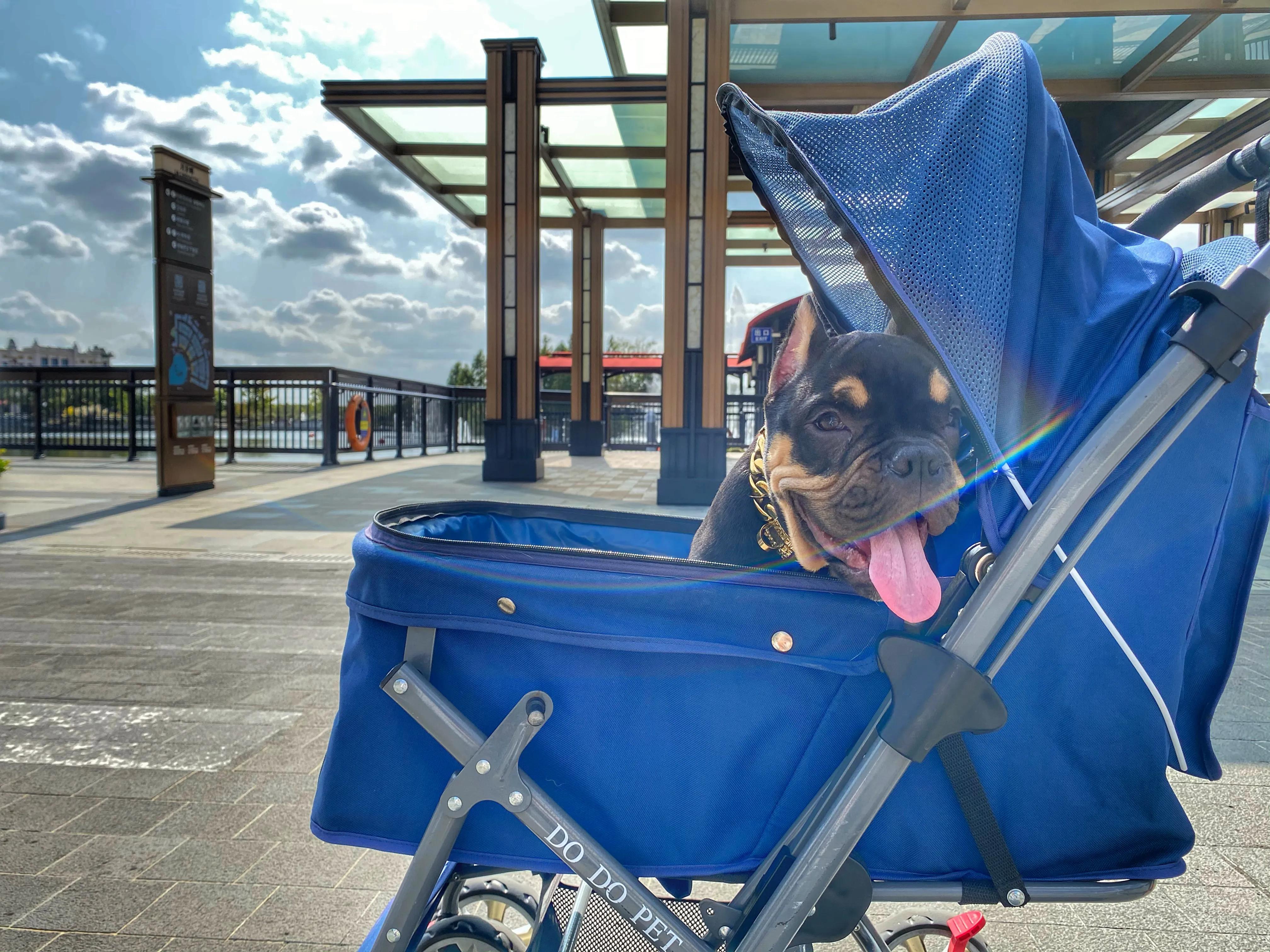 奕欧来可以带狗吗,奕欧来可以带宠物吗