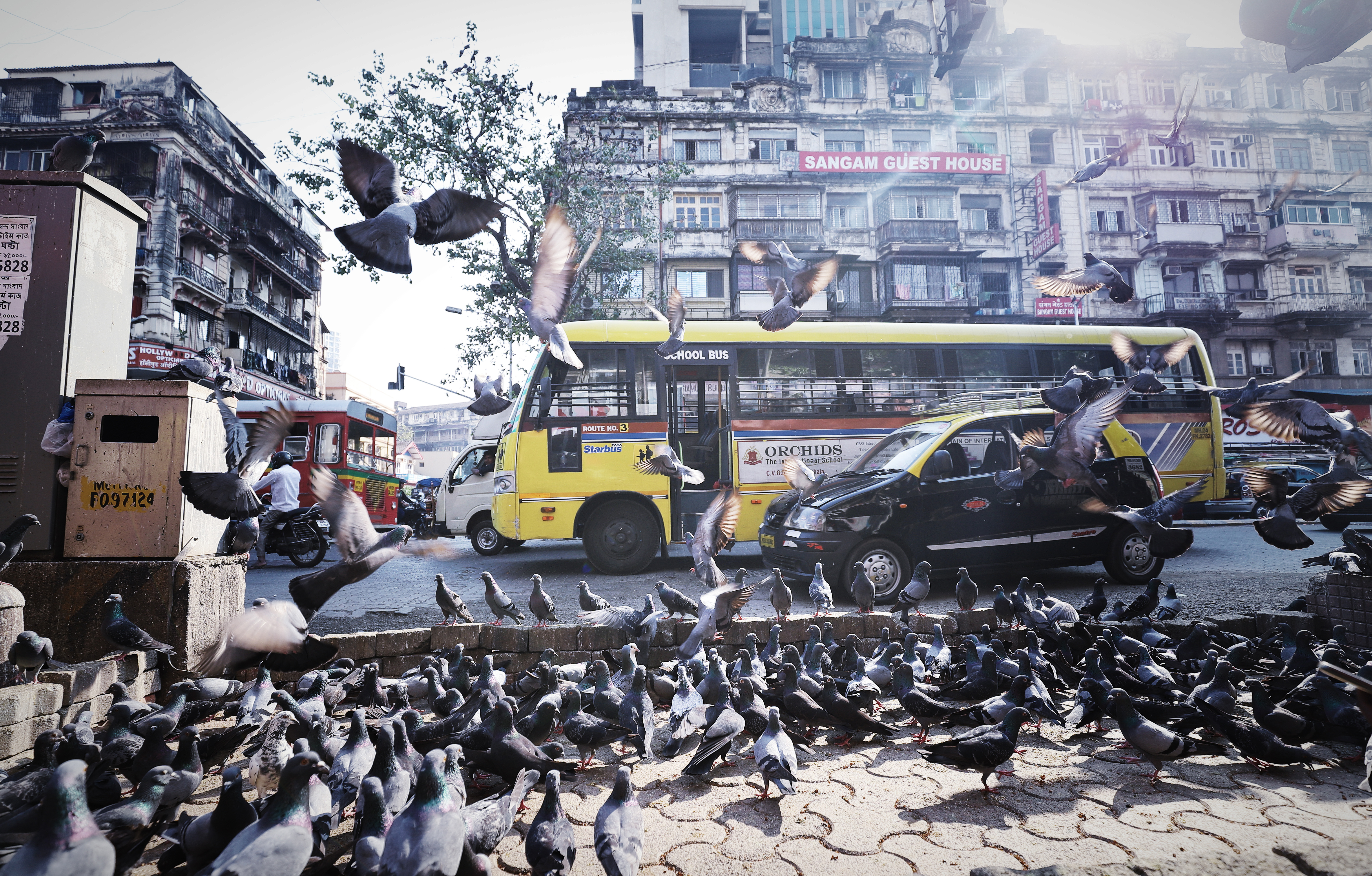 孟买外滩,印度孟买跨年