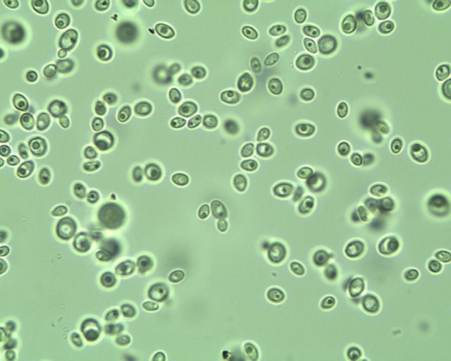 给女票搓了一年内衣，我想明白一个事儿——专用洗衣液微横测