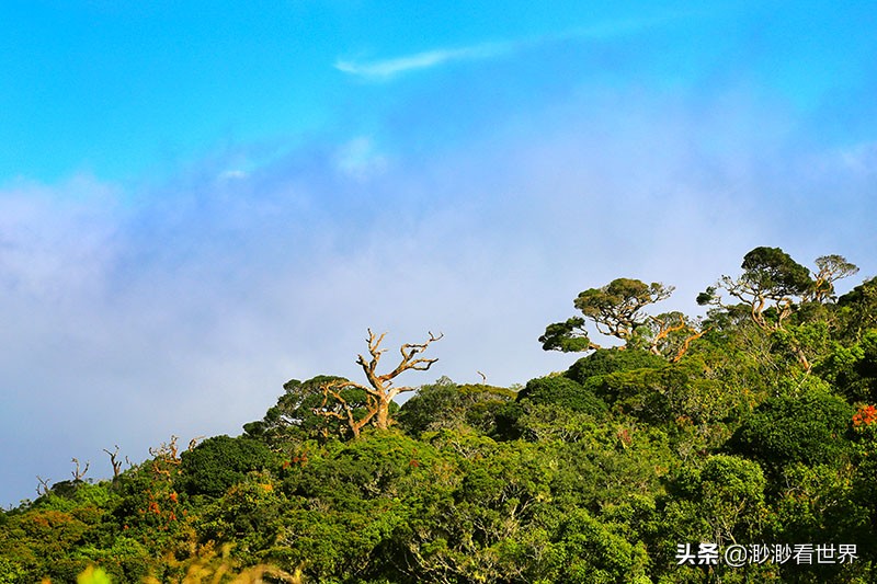 去斯里兰卡旅游攻略,1月去斯里兰卡旅游的最佳攻略