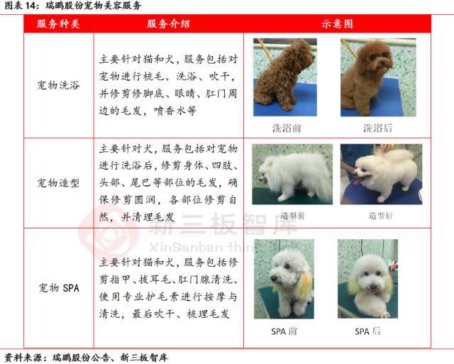 宠物dr设备品牌推荐,宠物医疗技术行业现状及发展趋势