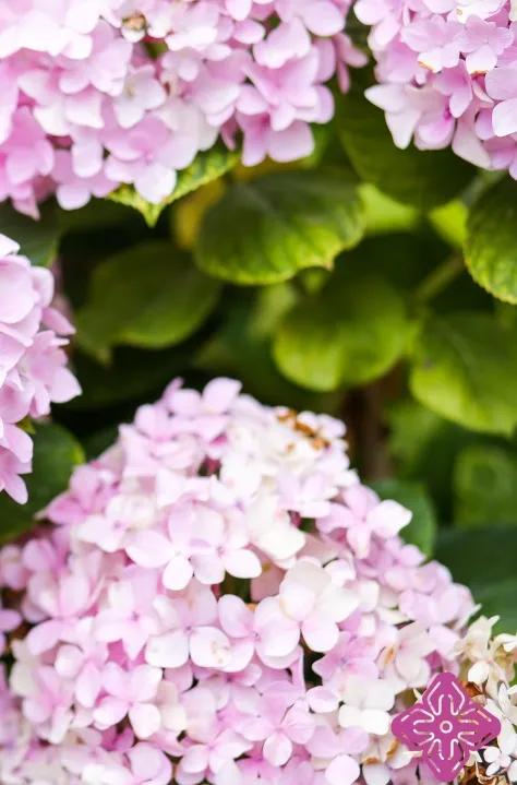 群英荟萃共享盛宴,群英荟萃各放光彩