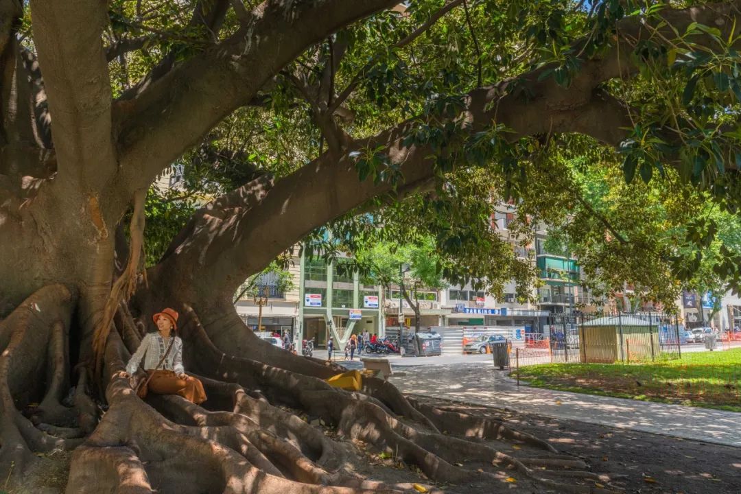 布宜诺斯艾利斯是在南美吗,布宜诺斯艾利斯漫游南美