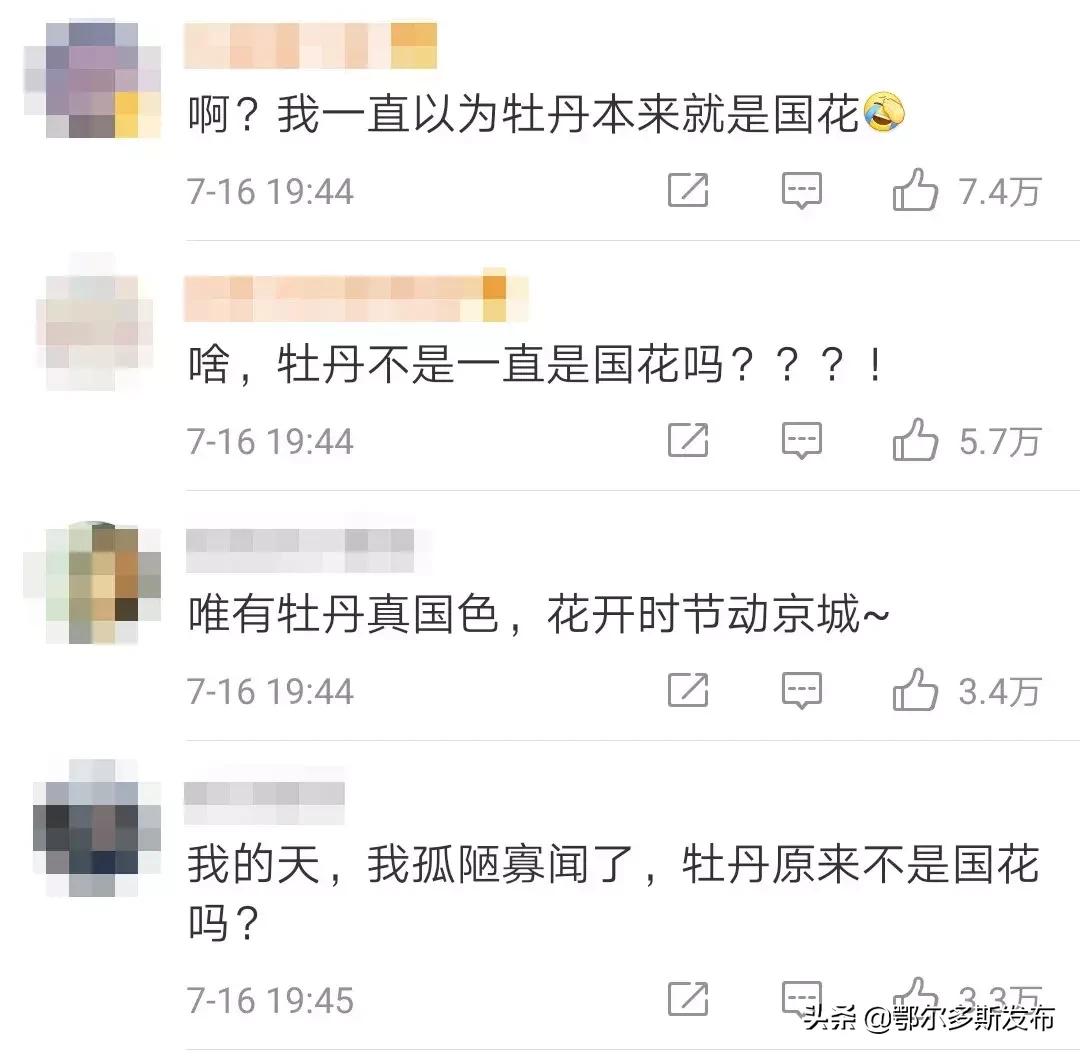 为什么选牡丹为国花,牡丹被定义为国花