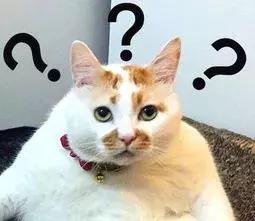 戴劳力士的都是土豪,戴劳力士的都是什么人啊男的