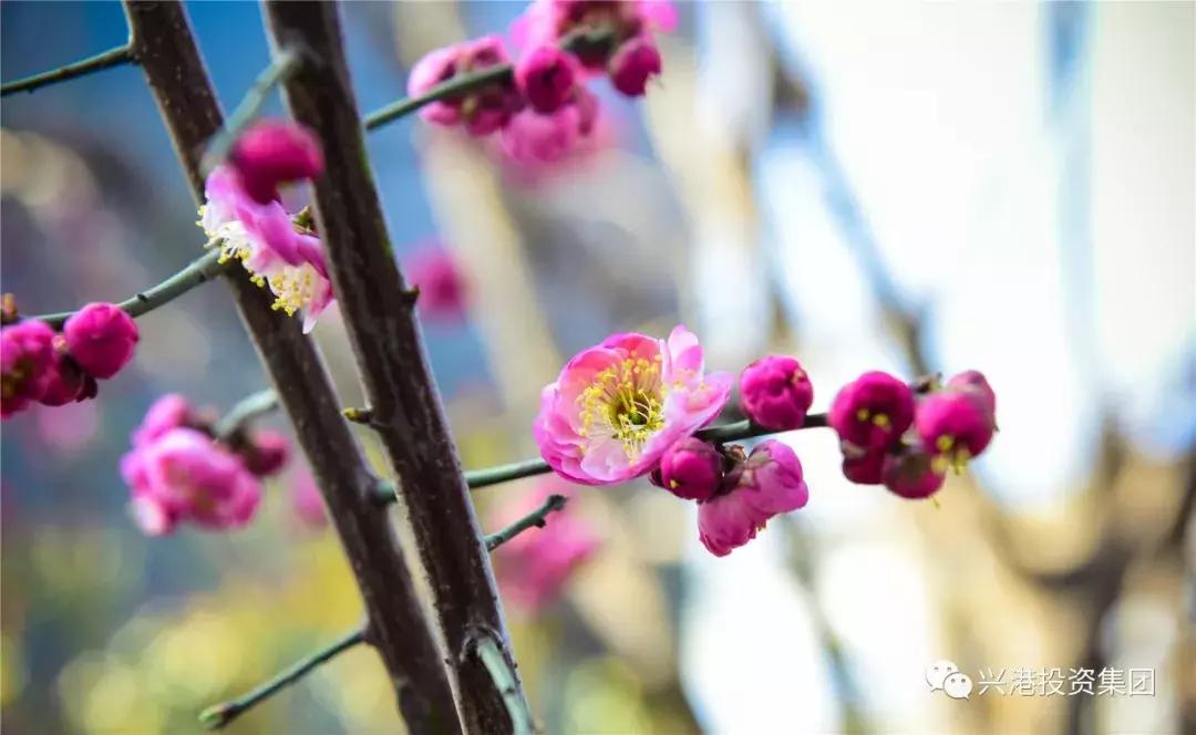 探访数字化工厂感受中国智造魅力,探秘产业园区