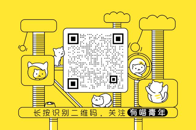 猫猫静悄悄歌曲,当猫猫静悄悄地过去偷吃你的东西