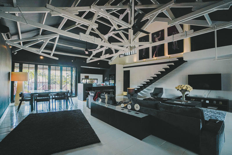 一人一猫环游,一人一猫旅行