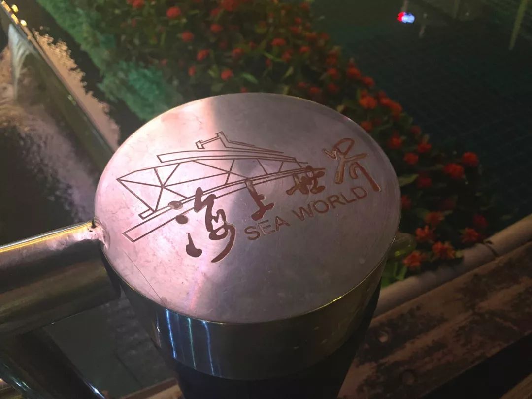 去蛇口玩吗,深圳蛇口值得去吗