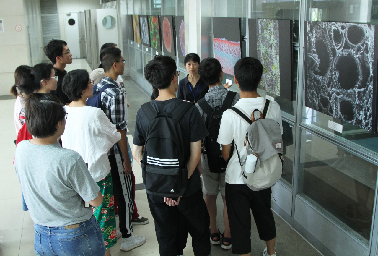 图书馆24小时全天开放的大学,24小时图书馆错峰开放