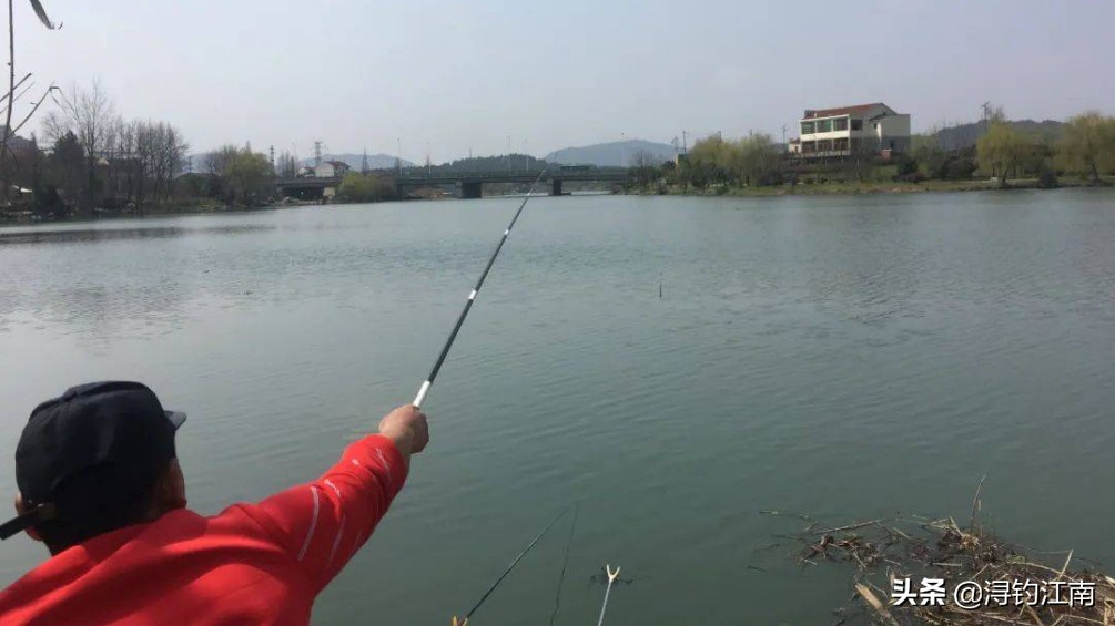 小鱼群中如何钓大鱼,小鱼群怎么钓鱼