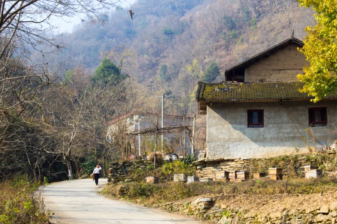 寻访秦岭龙潭村,背篓都是背在背上,这位大婶为何将其挎在腰间?