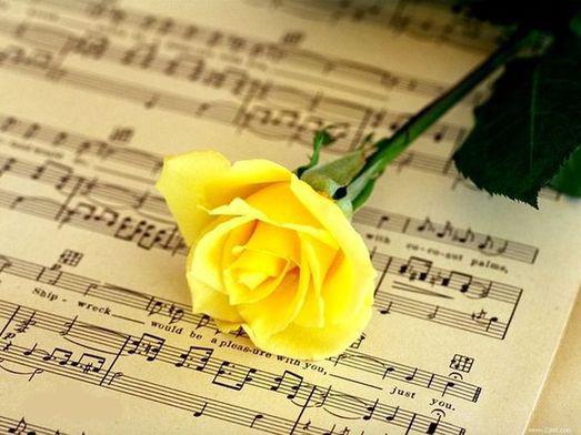 情人节手工玫瑰花配色表及花语,情人节送玫瑰的花语和寓意