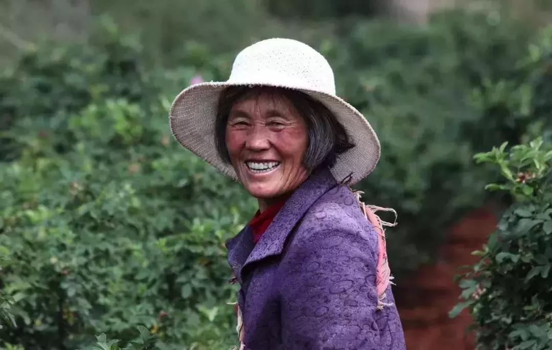 alinderose保加利亚玫瑰纯露,保湿祛皱淡斑抗老