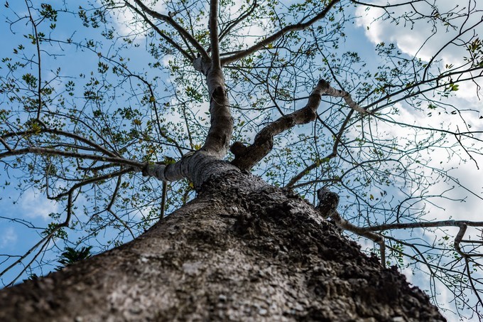最美的愿望一定最疯狂~三亚