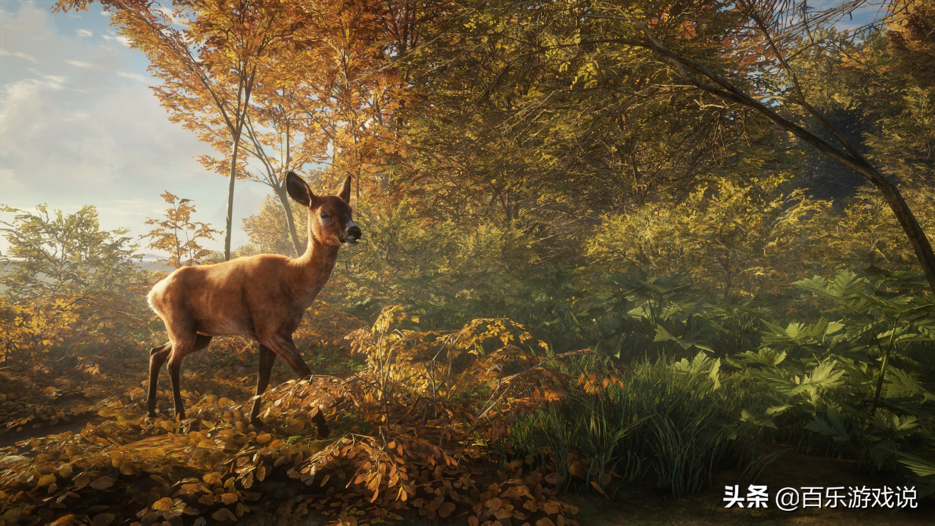 《荒野的召唤》值得购买吗?妈妈我想吃烤鹿肉,吃!两块够吗?