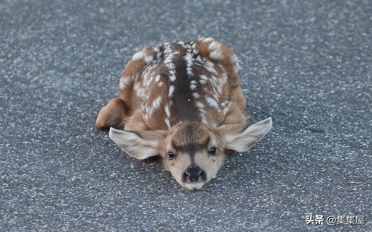 生物学的惊天大秘密,你不可不知的五十个生物学知识