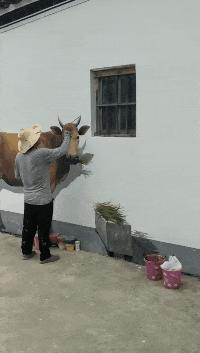 你特么放屁就放屁，对着我的脸放算是怎么回事？